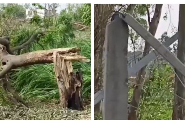 deadly storm in uttar pradesh’s sultanpur kills 7, including two