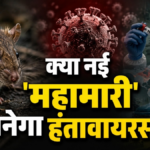क्या नई 'महामारी' बनेगा हंतावायरस? फेफड़ों को कर रहा छलनी,