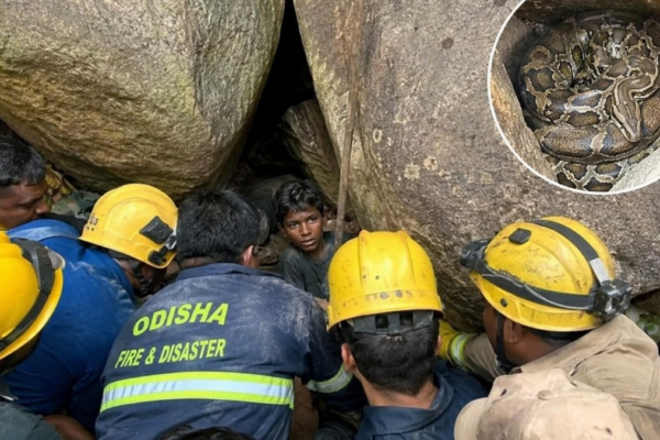 पत्थरों की दरार में फंसा मासूम, पास मंडरा रहा अजगर...