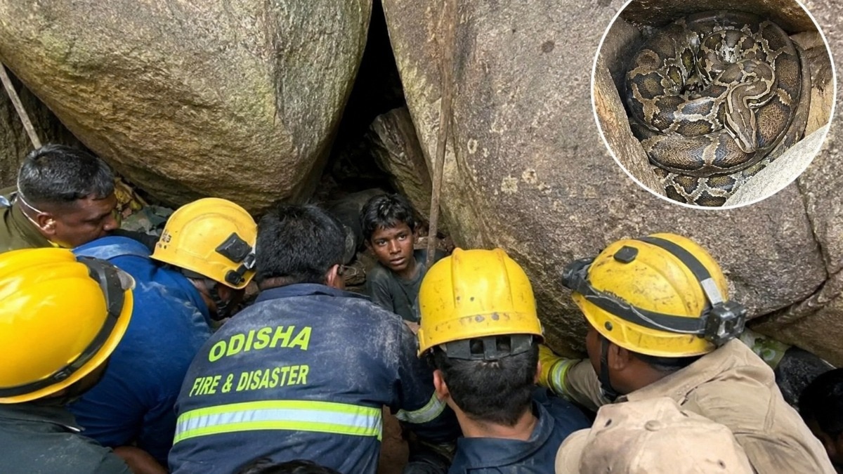 पत्थरों की दरार में फंसा मासूम, पास मंडरा रहा अजगर...