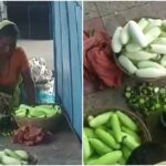 bihar vendors caught painting cucumbers green at railway station, video