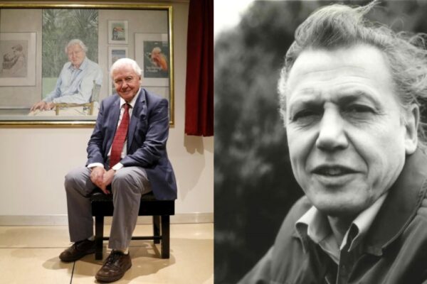 david attenborough turns 100: life and legacy of the voice