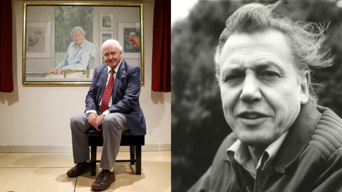 david attenborough turns 100: life and legacy of the voice