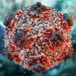 hantavirus in israel: rare case confirmed after eastern europe travel