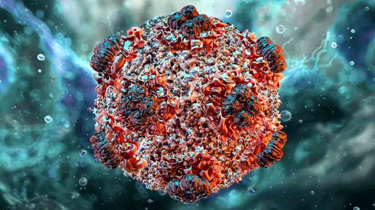 hantavirus in israel: rare case confirmed after eastern europe travel