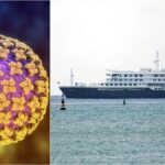 hantavirus outbreak on cruise ship linked to andes virus, who