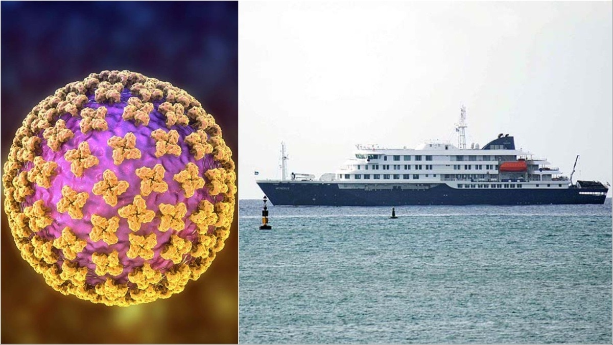 hantavirus outbreak on cruise ship linked to andes virus, who