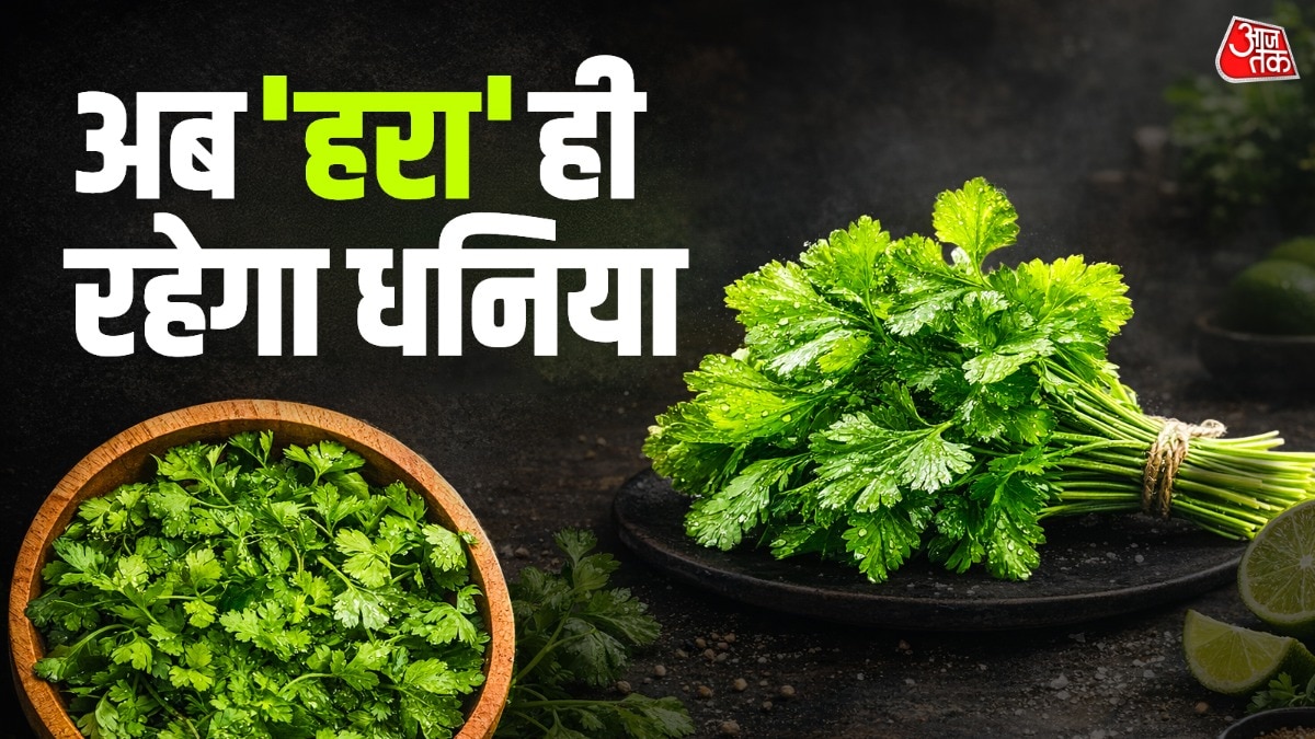 how to store hara dhaniya: न सूखेगा, न गलेगा, गर्मी
