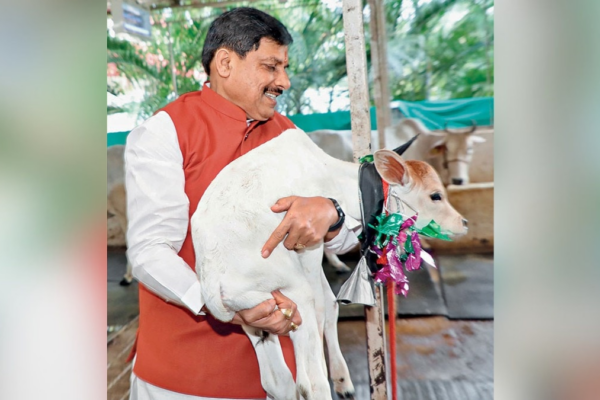 mohan yadav’s milk revolution: boosting farmers’ incomes, beating malnutrition