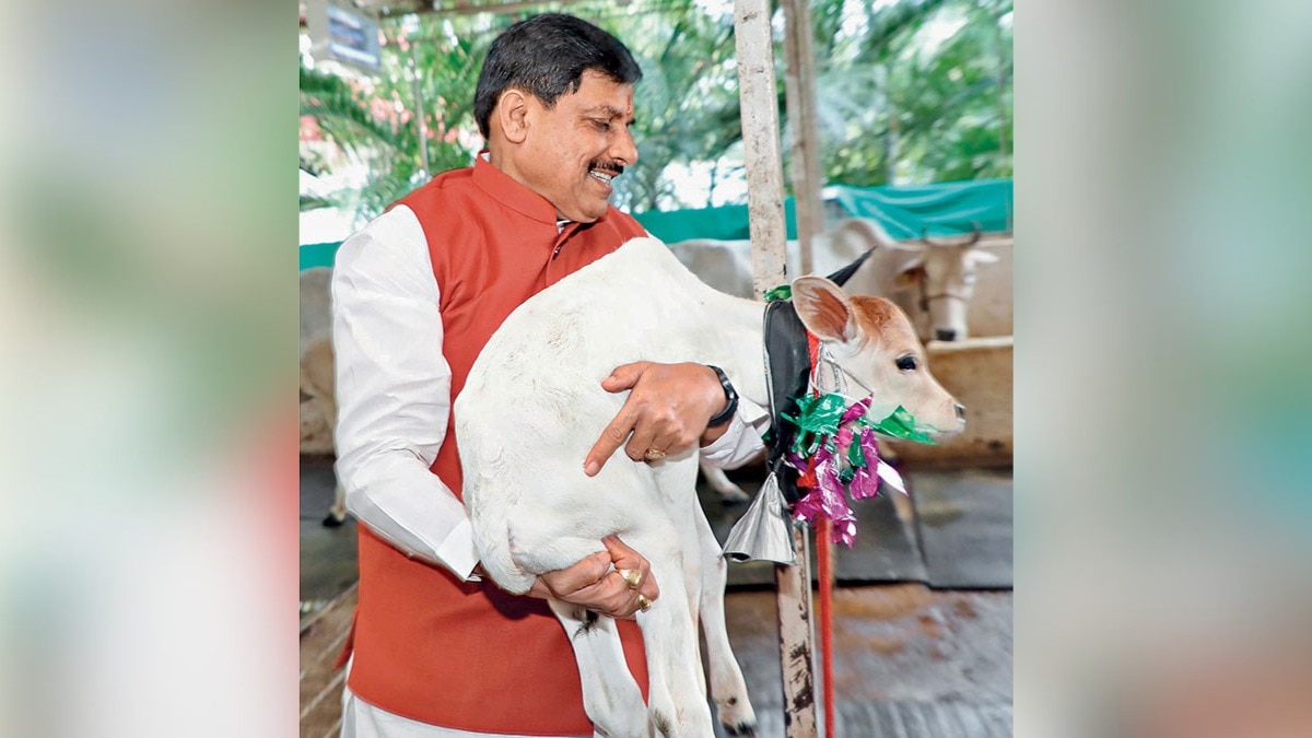 mohan yadav’s milk revolution: boosting farmers’ incomes, beating malnutrition