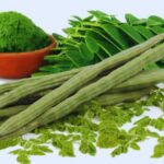 moringa is a nutritional powerhouse, but won’t fix a poor