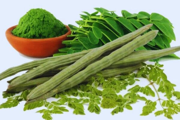 moringa is a nutritional powerhouse, but won’t fix a poor