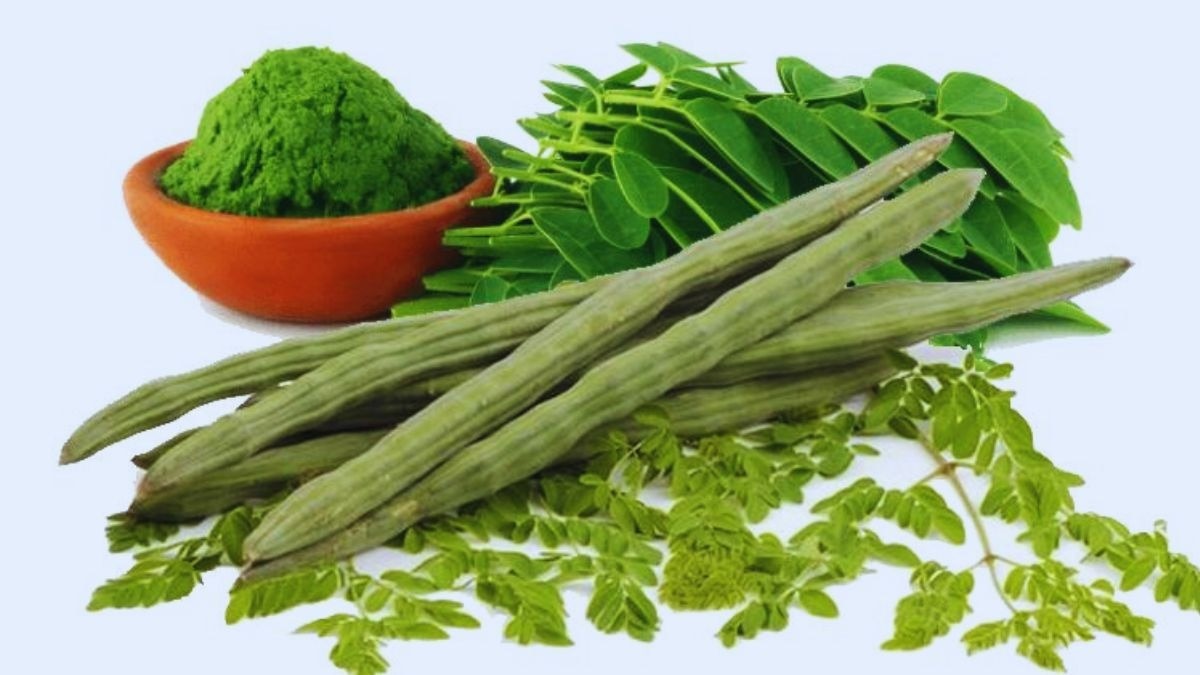 moringa is a nutritional powerhouse, but won’t fix a poor