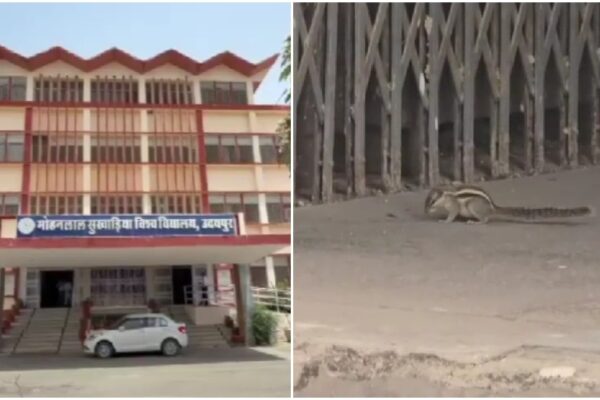 squirrel bites over 18 people at udaipur university, then vanishes