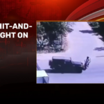 video: speeding thar hits biker in jaipur, man flung into