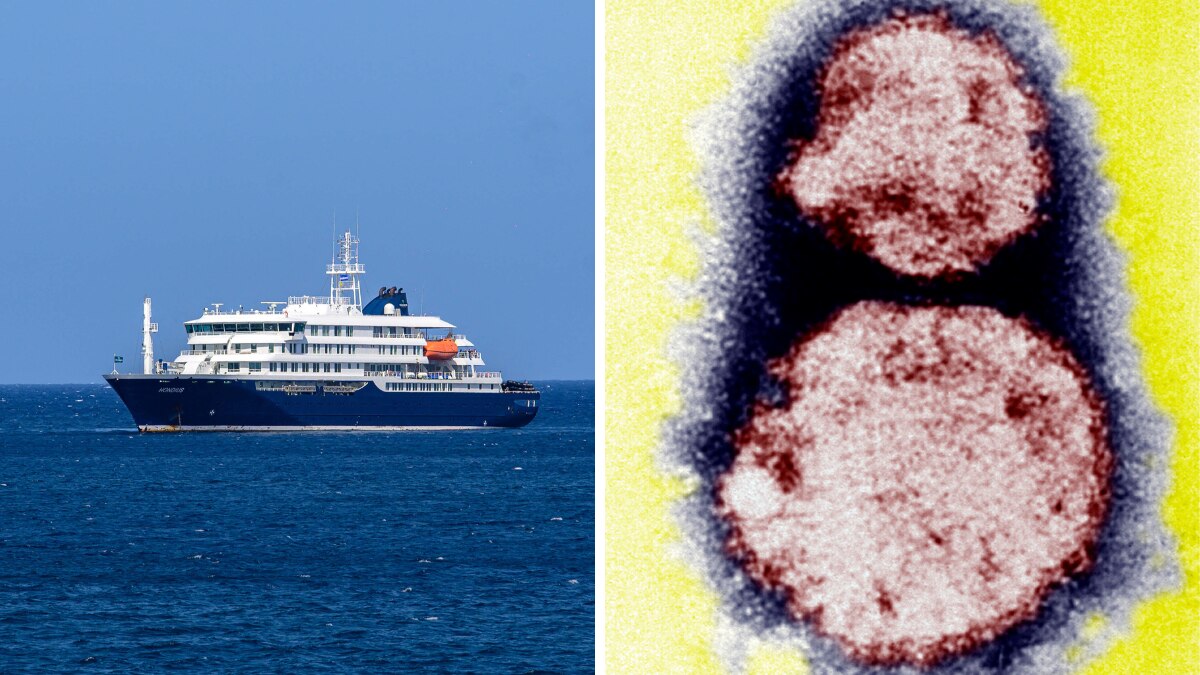 virus detected mid ocean on a cruise? doctor shares what to