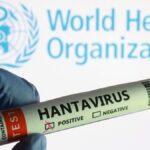 who confirms 3 deaths in hantavirus outbreak linked to spain bound