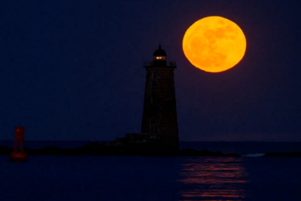 watch: first full moon of may rises like a blooming