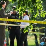 white house shooting, secret service response triggers brief lockdown in